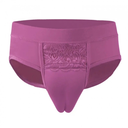 Culotte cache sexe Gaff pour homme